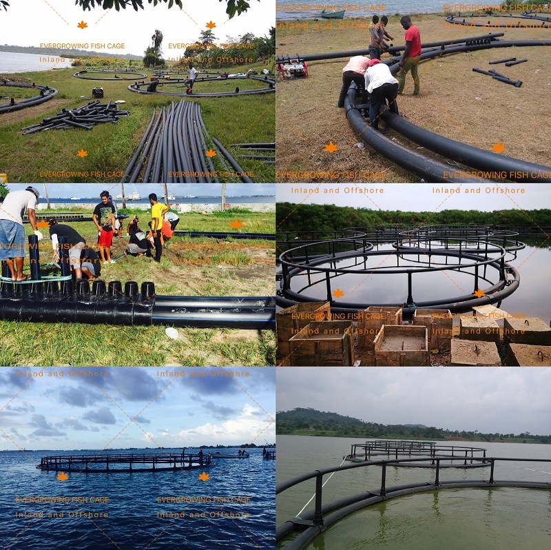 HDPE Floating Offshore Fish Farm with Whole Set Fishing Net Cage 60m Circular