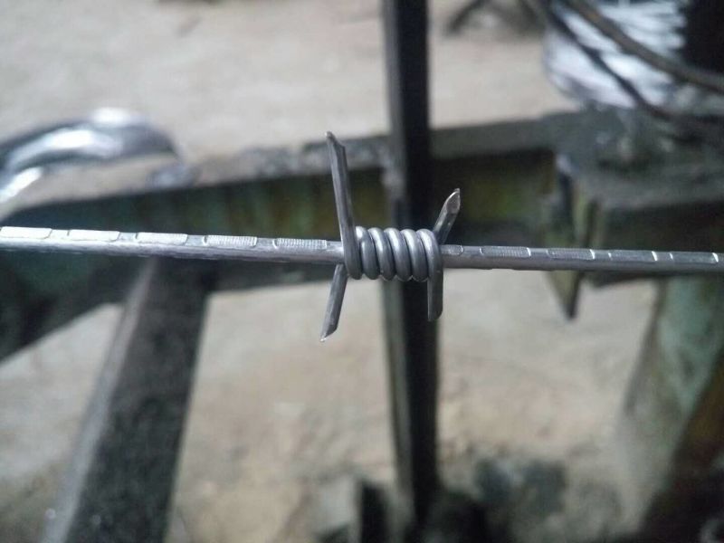 Tianjin Sharpened Galvanized Safety Barbed Wire/Galvanized Decorative Barbed Wire Fencing/Barbed Wire