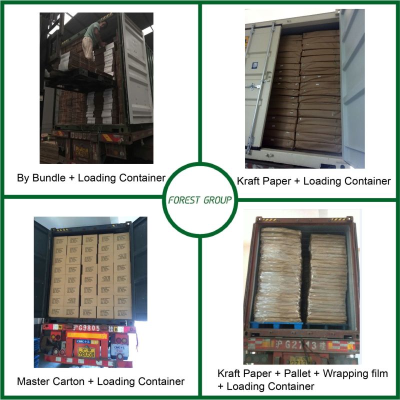 Fsc Corrugated Paper Coffee Shipping Box