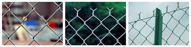 Yq Galvanized Chain Link Fence Garden Wire Mesh Fence