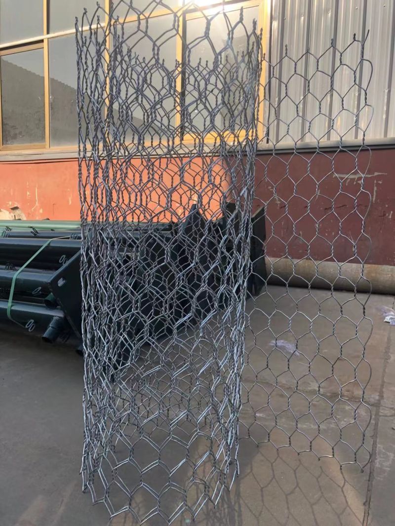Galvanized Low Carbon Steel Wire Hexagonal Wire Mesh