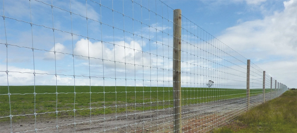 Factory Supply Cheap Field Wire Mesh Cattle Fence, Deer Fence, Cheap Farm Wire Mesh Fence