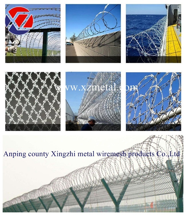Network Security Anti Wall Climbing Spikes Concertina Razor Barbed Wire