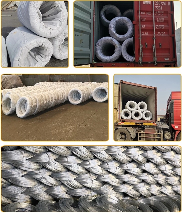 Galvanized Carbon Steel Wire Rope for Wire Mesh Use