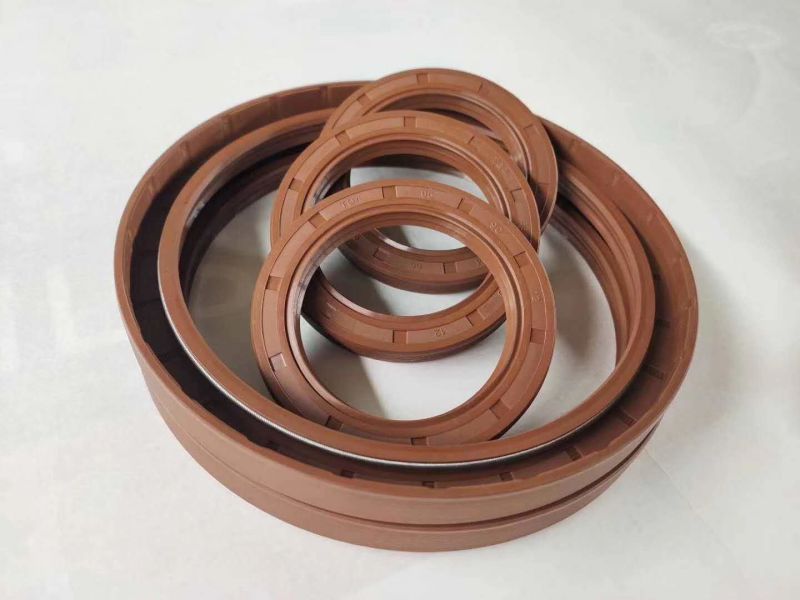 NBR + Iron Tc Oil Seal with Double Lip Rubber Gearbox Oil Seal for Sale