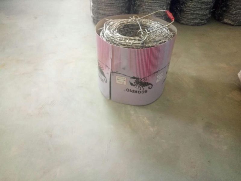 Tianjin Galvanized Safety Barbed Wire/Galvanized Decorative Barbed Wire Fencing/Barbed Wire Mesh
