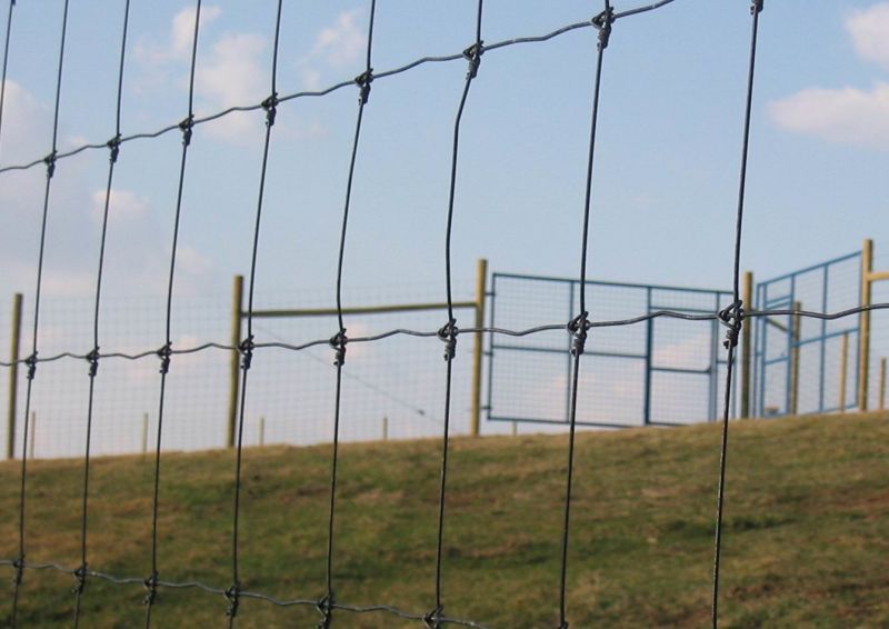 High Tensile Steel Farm Fence/Field Fence/Deer Fence/Cattle Fence