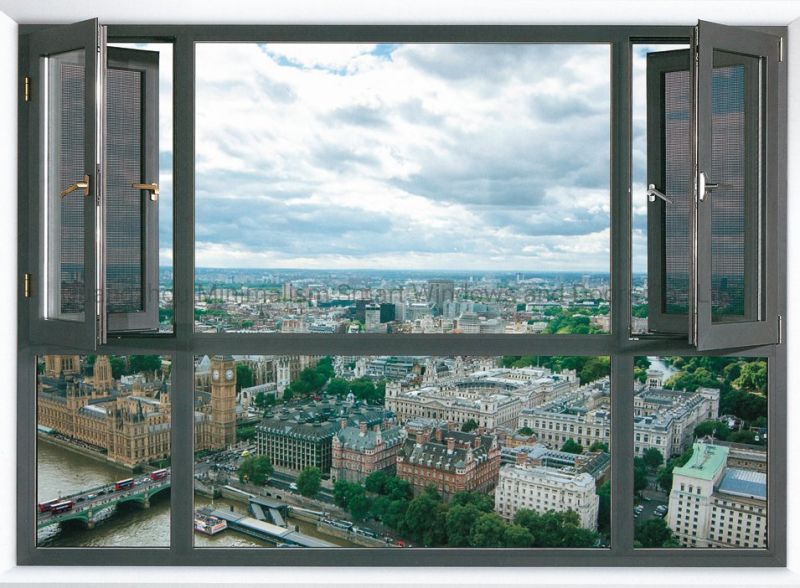 China Supplier Alu-Casement Window/ Stainless Steel Mesh Window Screen