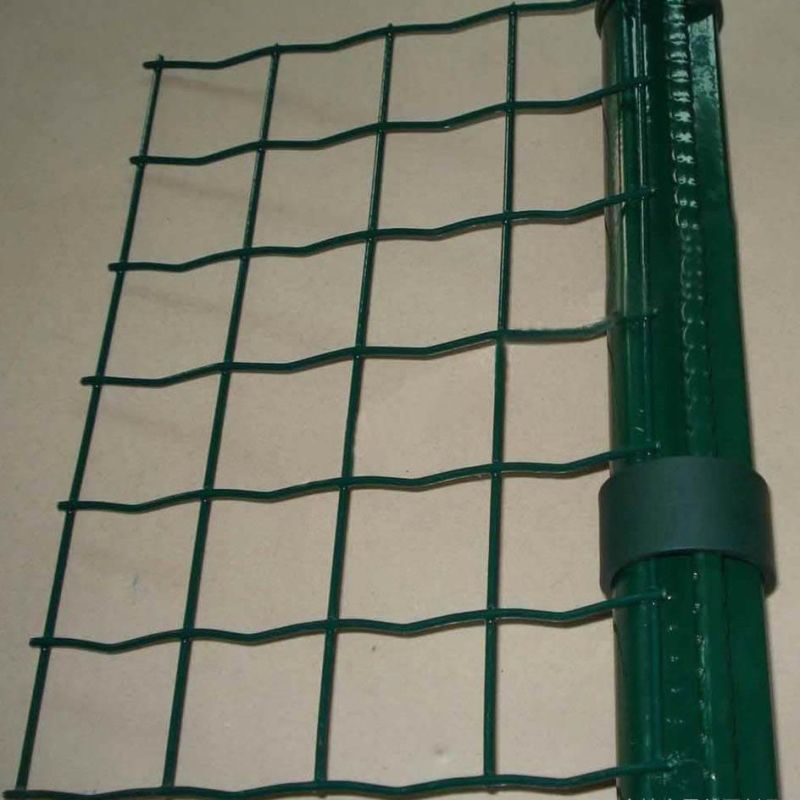 PVC Coated Welded Wire Mesh / Holland Wire Mesh/Euro Fence