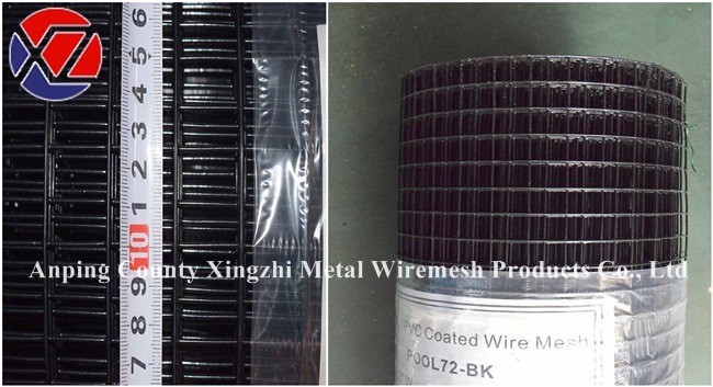Black Plastic-Coated PVC Galvanized Welded Wire Mesh