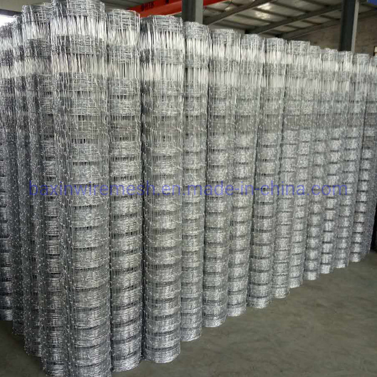 Hot Dipped Galvanized Fixed Knot Field Fence/Cattle Fence/Sheep Fence