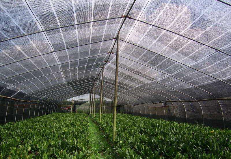 Black Shade Net, Plastic Net, Plain Weave Shade Net, Sun Shade, Agriculture Shade Net, Aquaculture Shade Net