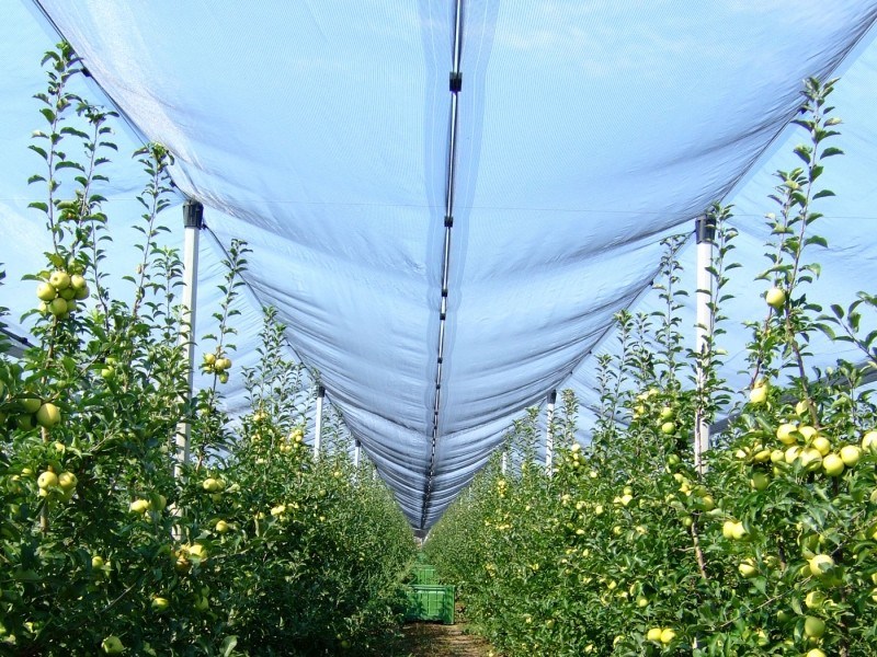 Anti Hail Protection Net with UV Protection in Rolls