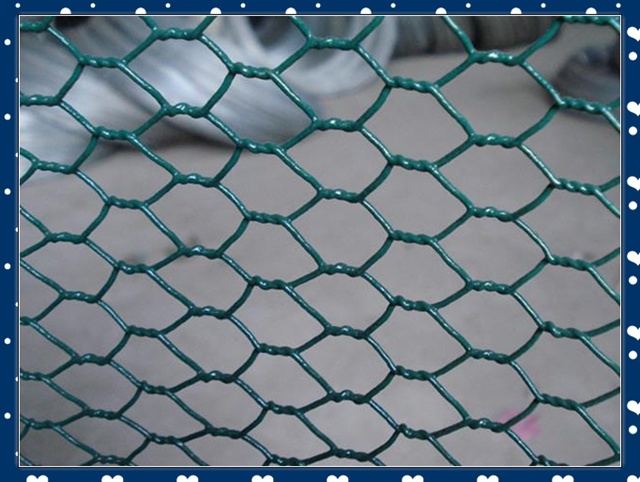 Galvanized Hexagonal Wire Mesh, Green PVC Hexagonal Wire Mesh