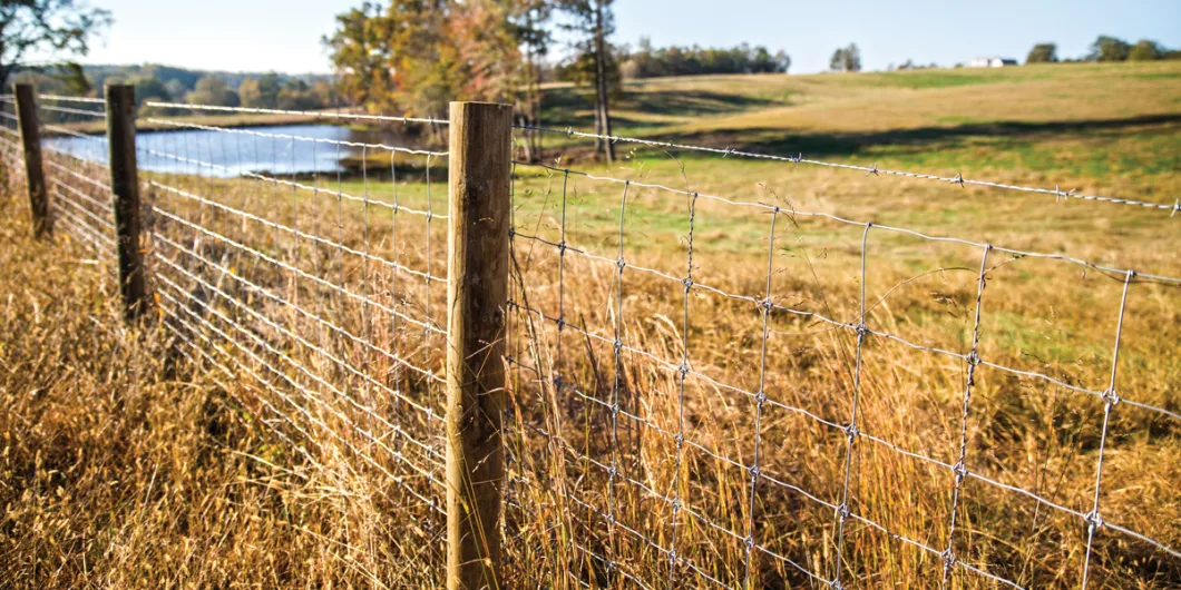 Cheap Field Wire Mesh Cattle Fence, Deer Fence, Cheap Farm Wire Mesh Fence