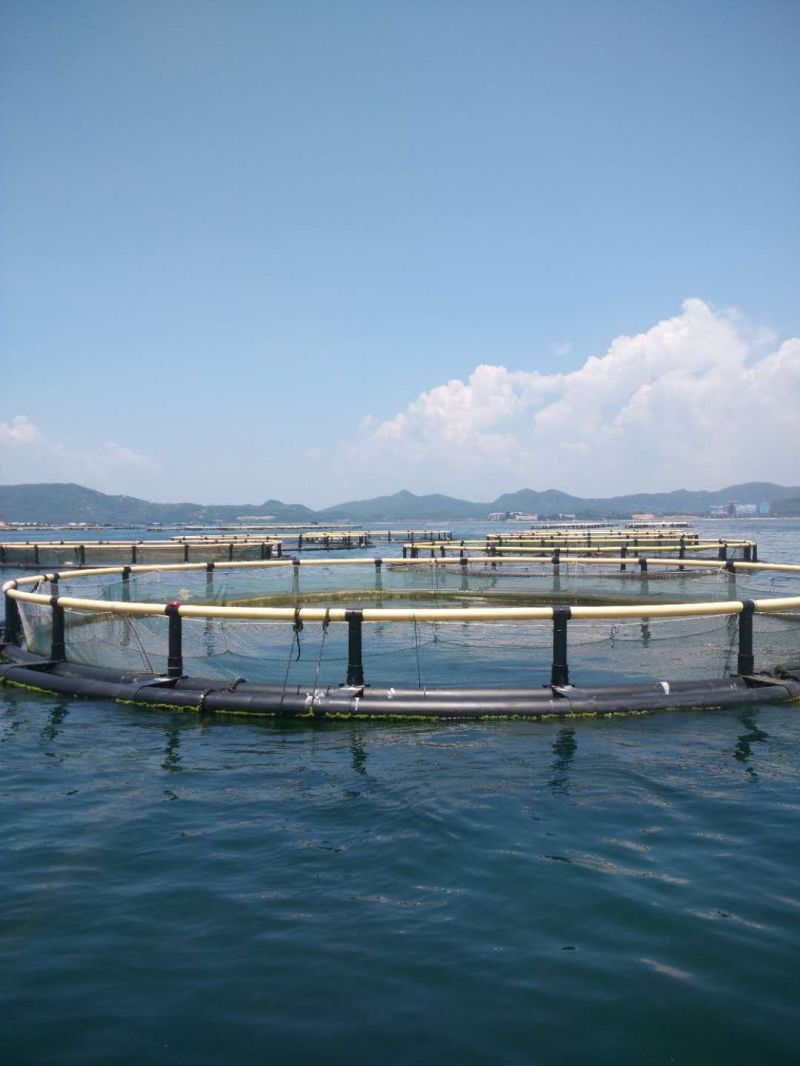 Wholesale Dhpe Polyester Nylon Aquaculture Fish Cage Net Fishing Net