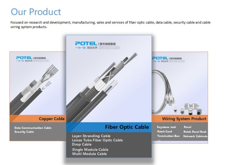 CAT6 FTP Network Twisted Copper Indoor PVC Cable