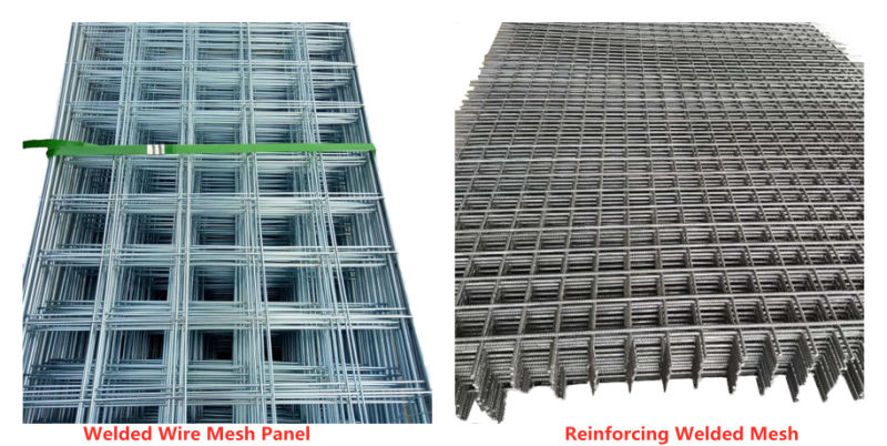 2X2 Galvanized Welded Steel Wire Mesh Welded Wire Mesh Panel Metal Wire Mesh