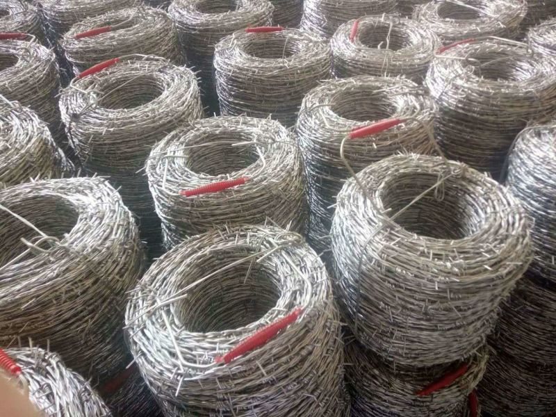 Tianjin Sharpened Galvanized Safety Barbed Wire/Galvanized Decorative Barbed Wire Fencing/Barbed Wire