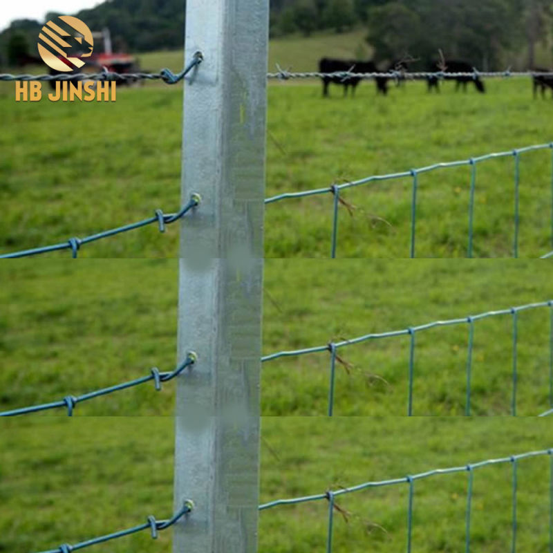 Australian Standard Black Y Fence Post for Cattle Fence
