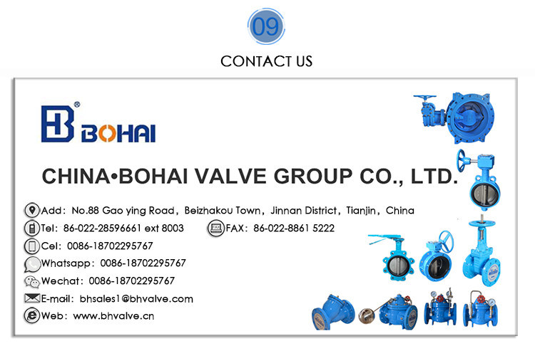 Cast Steel Soft Seat Non Rising Resilient Seat Gate Valve