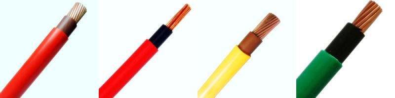 6181y Double PVC Insulated Copper 450/750V Wiring Cable