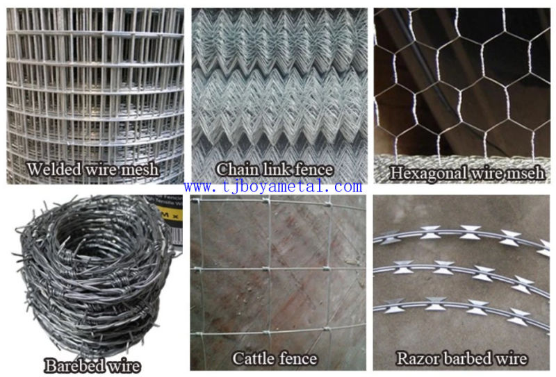 Galvanized Square Woven Wire Mesh / Stainless Steel Crimped Wire Mesh/Square Wire Mesh