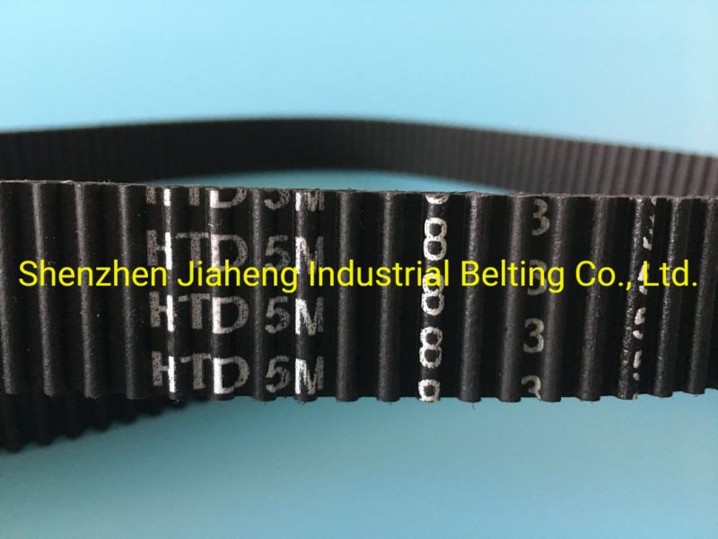 Rubber Timing Belt Toothed Belt Double Teeth Htd5m