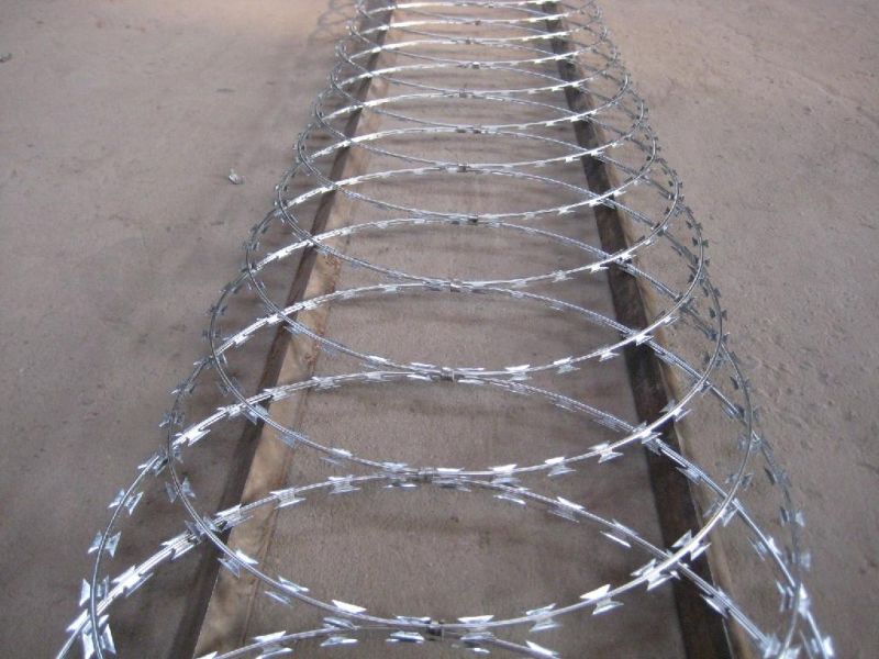 Cbt-65 & Bto-22 Razor Barbed Wire /Galvanized Barbed Wire Farm Fence