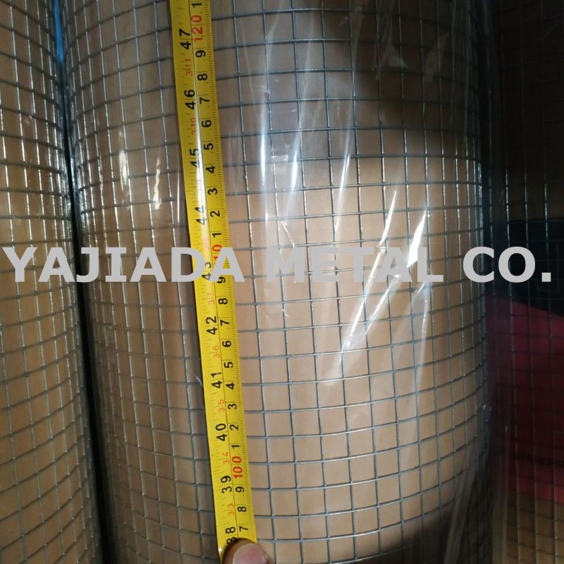 Galvanzied Wire Mesh Welded Wire Mesh, Wire Netting