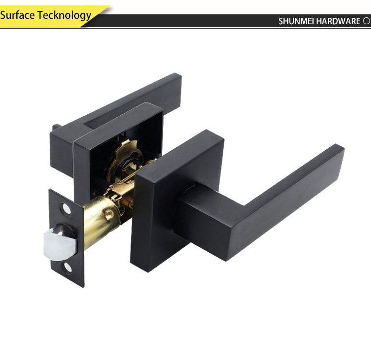 Black Color Heavy Duty Stainless Steel Privacy Door Lever Lock dB202