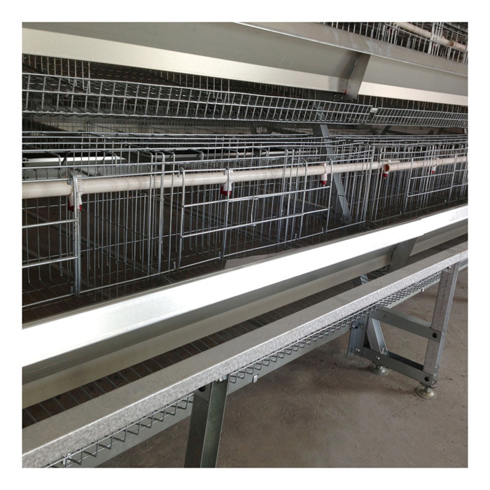 Layer Chicken Cage/ Chicken Breeding Cage Used for Poultry Farm