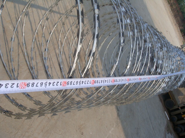 450mm Diameter Galvanized Concertina Blade Razor Barbed Wire