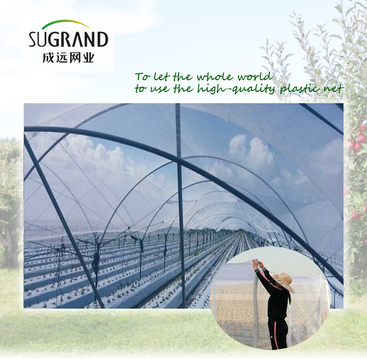 Woven Mosquito Screen Plastic Insect Net/Insect Window Screen Mosquito Netting