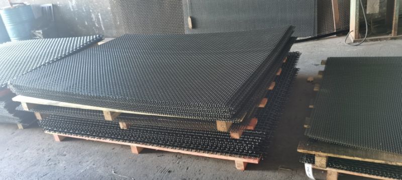 Screen Net, Screen Wire Mesh with High Quality for Exproting