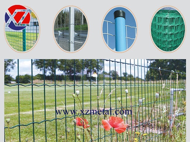 50*100mm Green PVC Coated Dutch Wire Mesh Fence