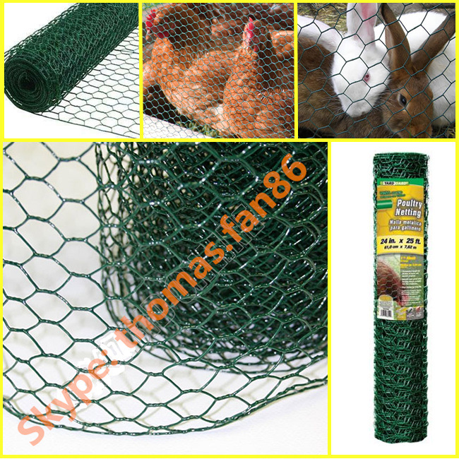 PVC Poultry Netting / Chicken Mesh / Hexagonal Wire Mesh
