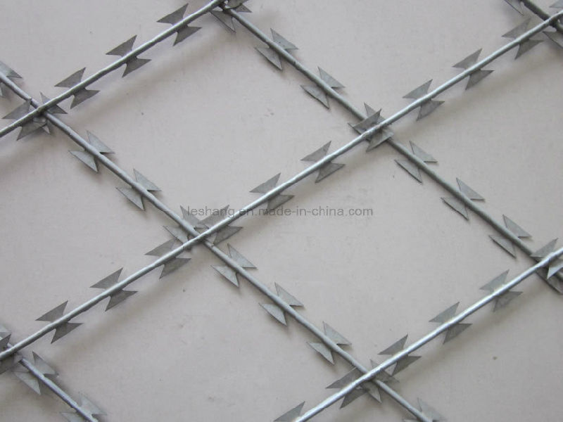 Hot-Dipped Galvanized Razor Wire Welded Fence Mesh