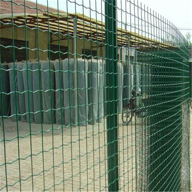 Green PVC Coated Wire Mesh Security Euro Farm Holland Wire Mesh Welded Iron Wire Mesh