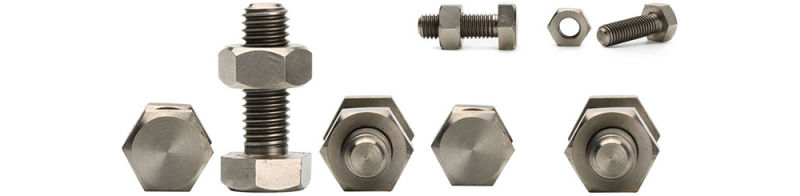 Stainless Steel 304 Zinc Steel Zinc Plating 4.8 6.8 8.8 9.8 Hex Bolt/Hexagon Bolt and Nut/Hex Cap Bolt & Nut/Hex Head Bolt Made in China