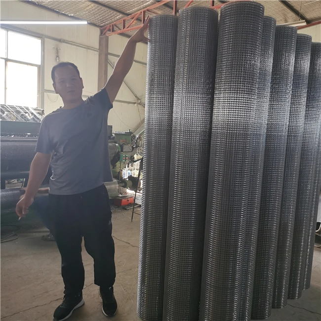 Yq High Quality Stainless Steel Welded Wire Mesh Roll