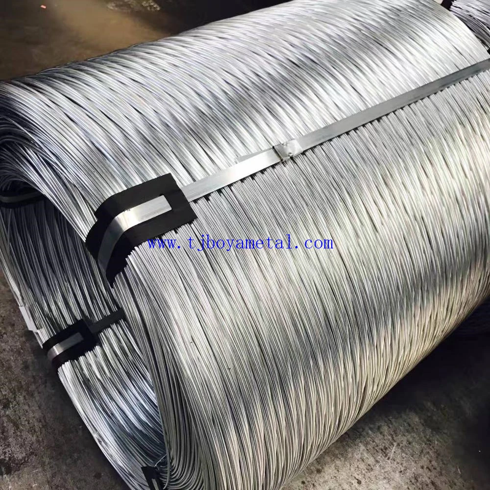 Factory 2mm, 3mm Galvanized Wire/Binding Wire/Iron Wire/Hot Dipped Galvanized Wire/Metal Wire for Building and Construction