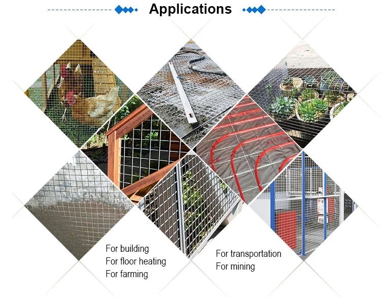 PVC Coated Welded Wire Mesh for Garden/Plastic Coated Wire Mesh