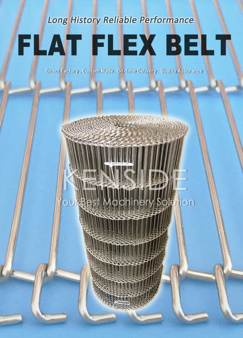 Manufacturer Stainless Steel Wire Mesh Belt for Drying Use