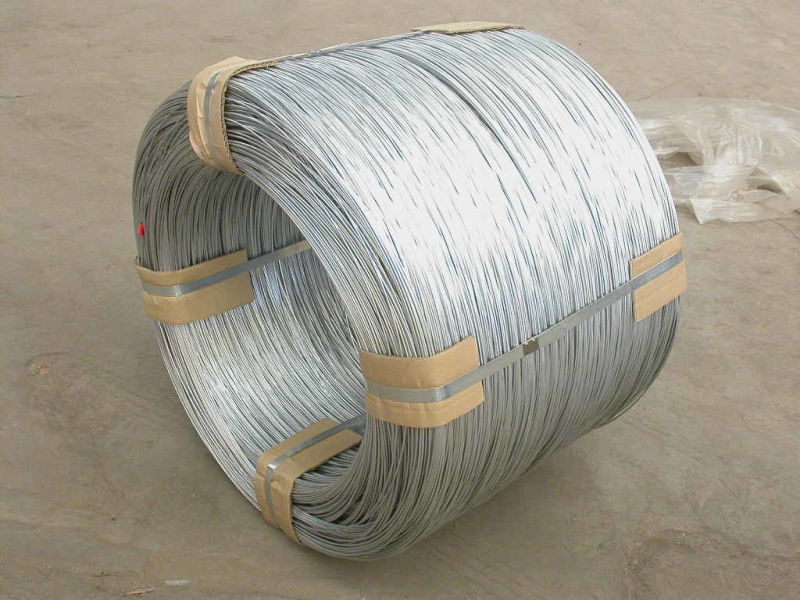 Q195 Material Galvanized Steel Wire