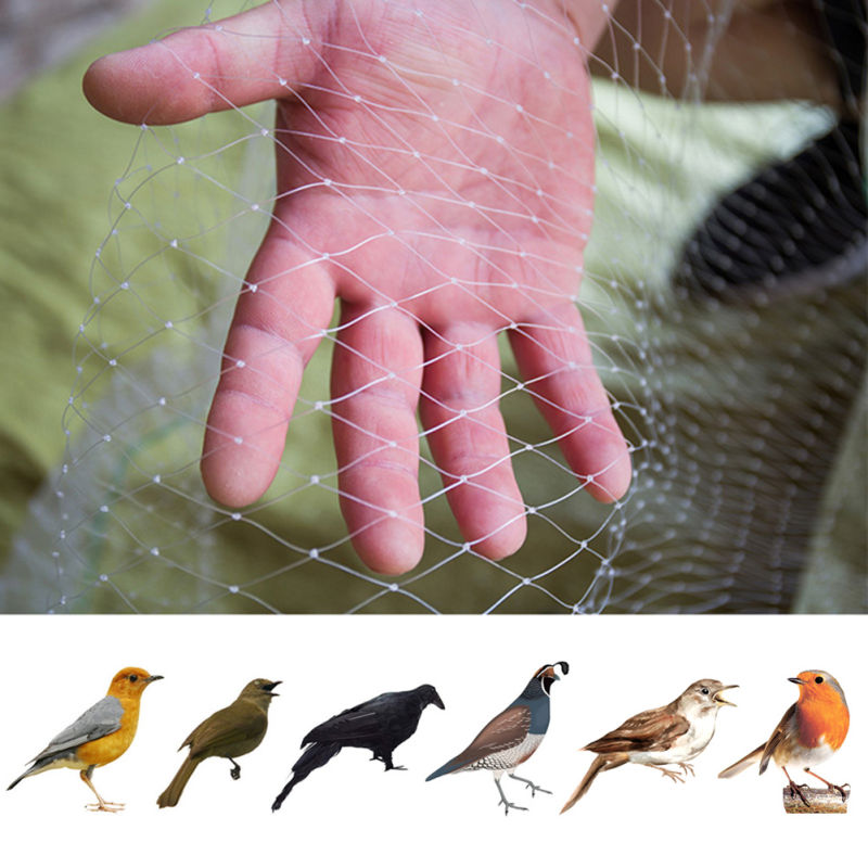 HDPE Extruded Anti Bird Net for Agricultural Protection
