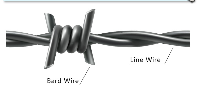 Hot Dipped Galvaznied Barbed Wire 7.5cm Barbed Wire Distance for Fence