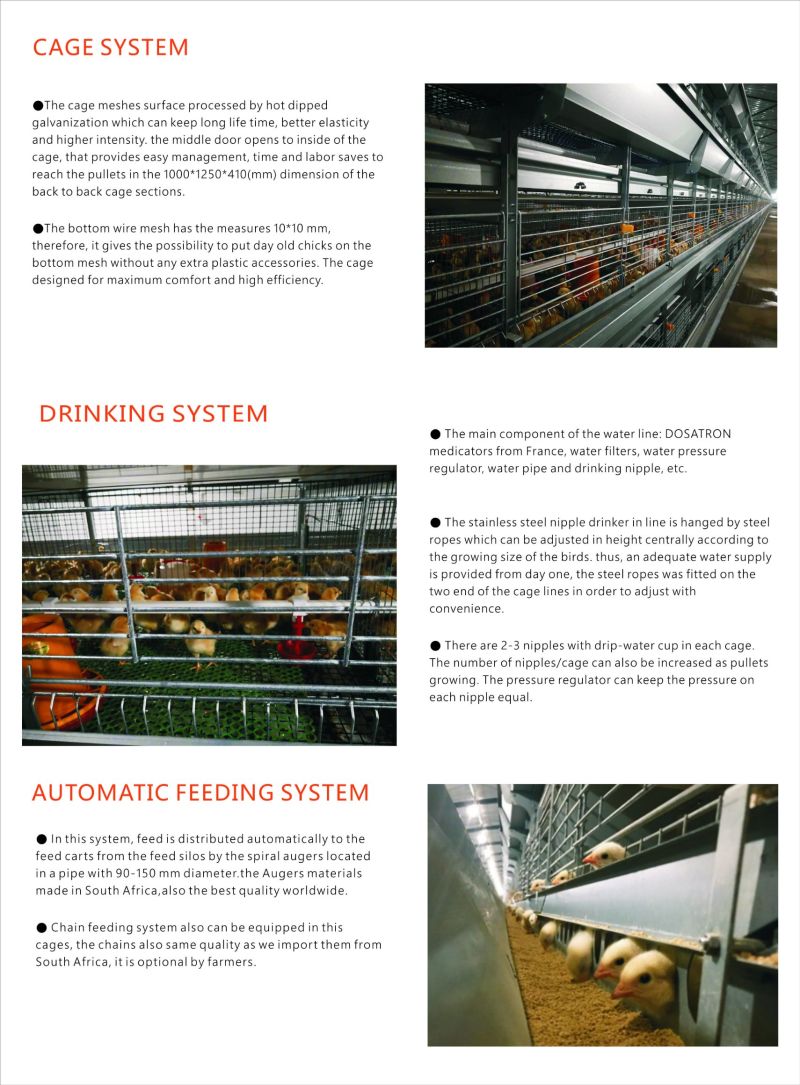 Chicken Cage Pullet Cage System for Poultry Farm