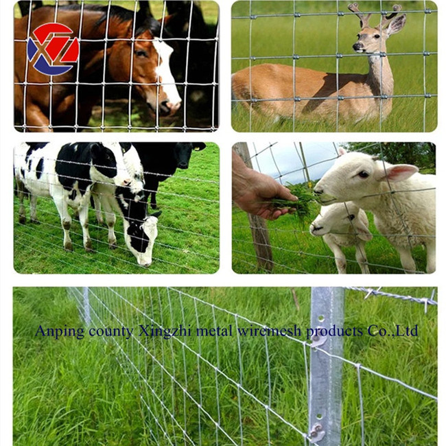 2.5mm Heavily Galvanized Farm Fence Netting/Sheep Wire Fence