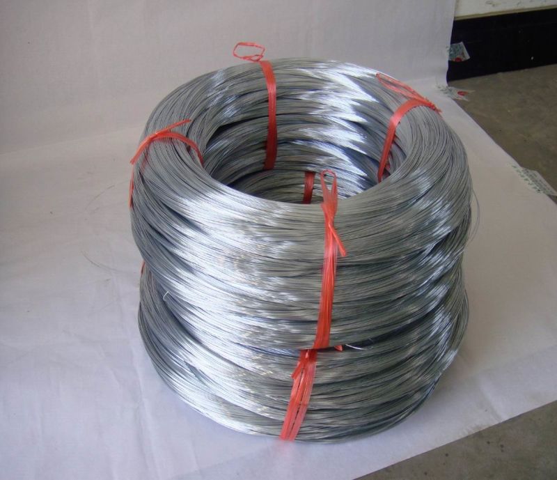 Galvanized Wire/Binding Wire/Electro &Hot DIP Galvanized Steel Wire